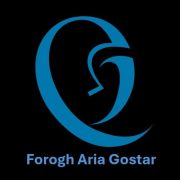 فروغ آریا گستر